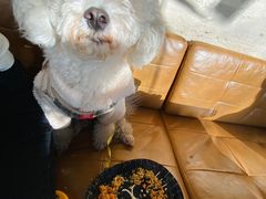 -the rug 飞毯 (朝阳公园店)