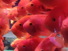 -常州海昌海洋探索馆