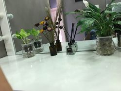 -三只熊皮肤管理中心