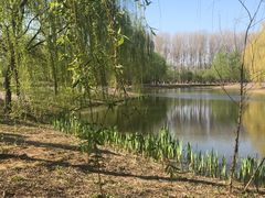 -东郊湿地公园