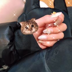 -恐龙·美甲美睫