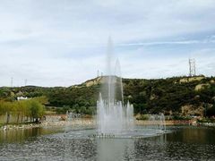 -五龙城郊森林公园