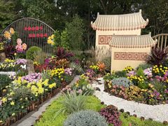 -南山植物园