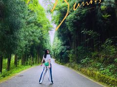 -武陵山森林公园