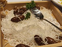 -老山东·山东菜(鲁菜名店)