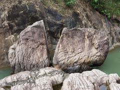 -广州白江湖森林公园