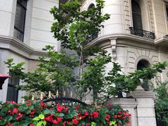 -子霖南山鲜虾面(南山总店)