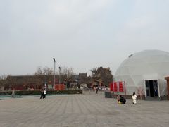 -大槐树寻根祭祖园