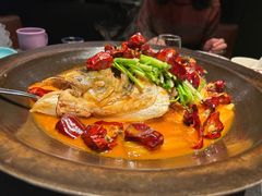 -拾久(朝阳公园店)