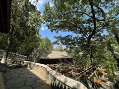 -大觉寺-停车场