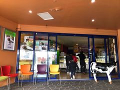 -Dooley's Premium Ice Cream