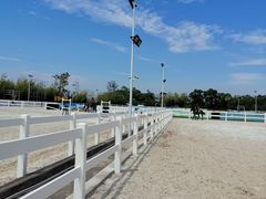 -上海崇明金茂凯悦酒店