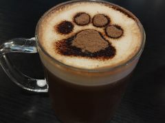 猫爪棉花糖热可可-猫小院猫主题咖啡厅(北锣店)
