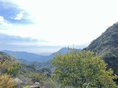-大岭沟猕猴桃谷风景区