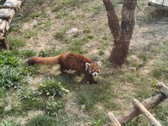 -济南野生动物世界