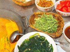 -朱光玉火锅馆(龙阳广场店)