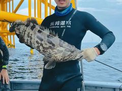 -深蓝金枪·深海鱼刺身(吉大店)