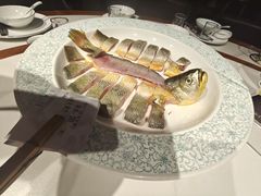 -朝阳闽灶·非遗文化闽菜馆·福建老字号(福飞路店)
