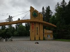 景区大门-五营红松林海景区
