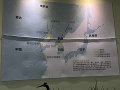 -盐城丹顶鹤湿地生态旅游区