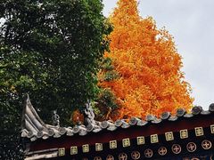 -西安市广仁寺