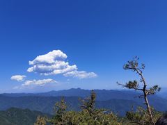 -牛背梁国家森林公园