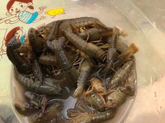 -南汇老顾农家乐采摘大团水蜜桃采摘店