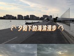 -碧海金沙