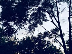 -抱犊寨风景区
