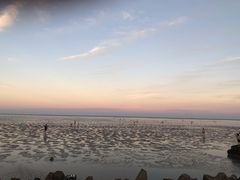 -南汇嘴观海公园