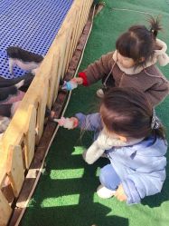 -萌宠亲子动物乐园(槐房万达店)