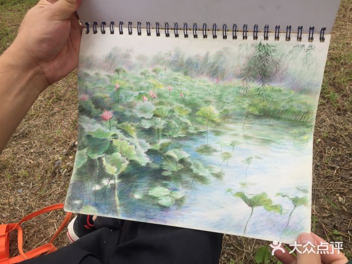 白鹭湾湿地公园图片