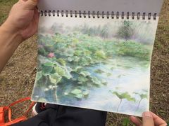 -白鹭湾湿地公园