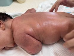 -瑞婴丽月子中心(虹桥店)