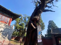 -中岳庙