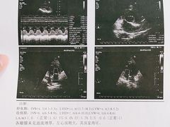 -北京派仕佳德动物医院·超导核磁·CT·神经科·骨科·内外科·急重症管理中心