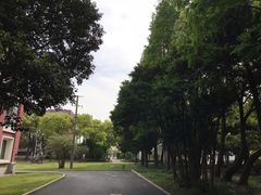 -上海财经大学-新食堂