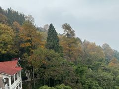 -川流不息·地道川菜·小龙虾(新松江路店)