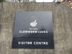 -怀托摩萤火虫洞