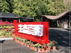 -东平国家森林公园