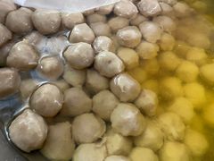 -金砂阿洲鱼册店