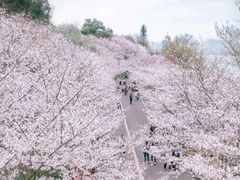 -团城山公园