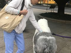 -Pantry's Best派悦坊蛋糕(K11购物艺术中心店)