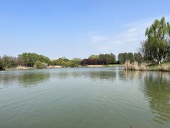 -苏州太湖国家湿地公园