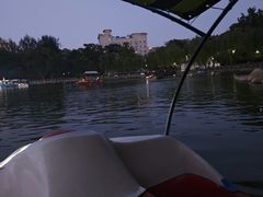 -莲湖公园