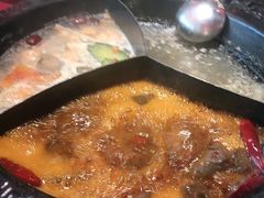 -蜀大侠火锅(森兰花园城店)