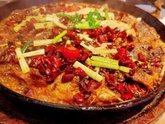 -老板恋上鱼(高新万达店)