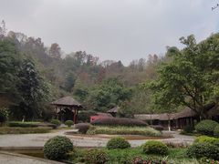 -重庆园博园