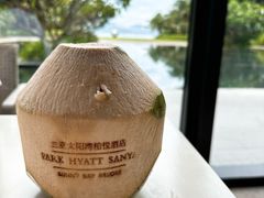 -三亚太阳湾柏悦酒店