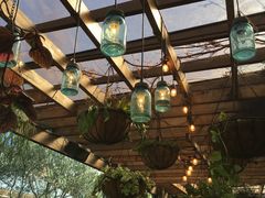 -The Grounds of Alexandria